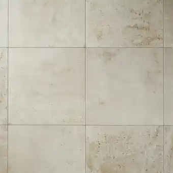 Castorama Carrelage extérieur reclaimed blanc 45 x 45 cm offre