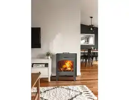 Poêle à bois "bristol" ecodesign - panadero