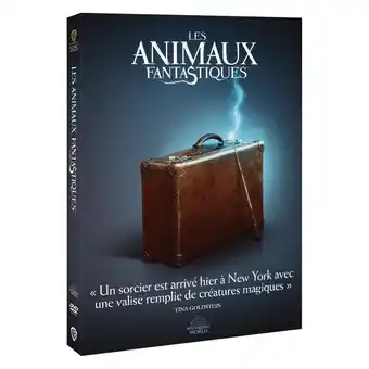 Carrefour Opération dvd "harry potter" icons offre