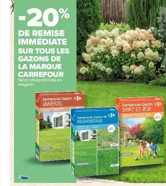 Carrefour Market Gazons de la marque carrefour offre