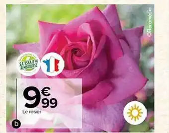 Le rosier