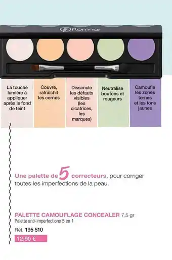 Stanhome Palette camouflage concealer flormar offre
