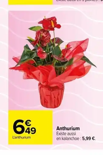 Carrefour Anthurium offre