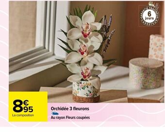 Carrefour Orchidée 3 fleurons offre