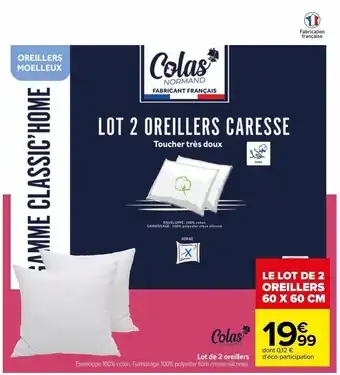 Lot de 2 oreillers