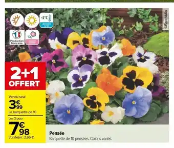 Carrefour Pensée offre