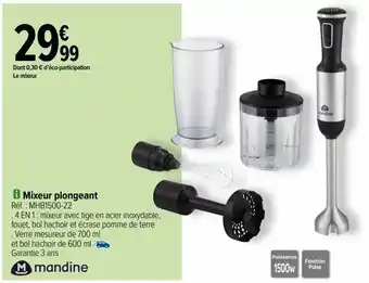 Carrefour Mixeur plongeant mandine offre