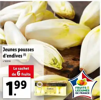 Lidl Jeunes Pousses D'Endives offre