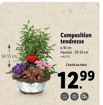 Lidl Composition Tendresse offre
