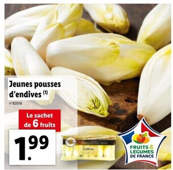 Lidl Jeunes Pousses D'Endives offre
