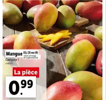Mangue