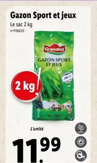 Lidl Gazon Sport et Jeux offre