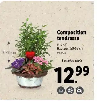 Lidl Composition Tendresse offre