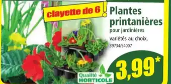 Norma Plantes Printanières offre