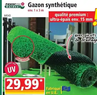 Gazon Synthétique