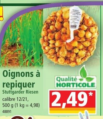 Norma Oignons à Repiquer offre