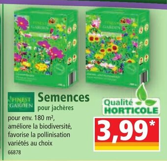 Norma Semences offre