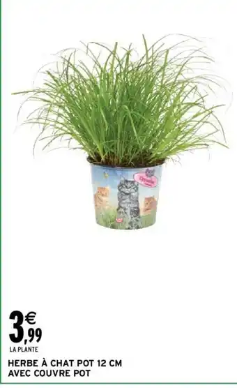 Intermarché Herbe à Chat Pot 12 CM avec Couvre Pot offre