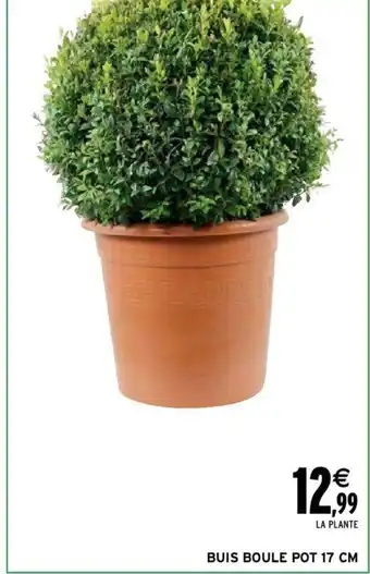 Intermarché Buis Boule Pot 17 CM offre