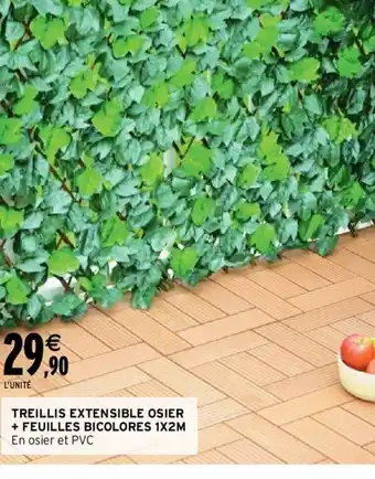 Intermarché Treillis Extensible Osier + Feuilles Bicolores 1x2M offre
