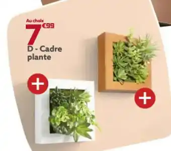 Gifi Cadre Plante offre