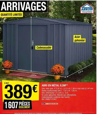 Brico Dépôt Abri en métal 8,5 m² offre
