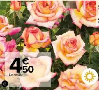 Carrefour Market Rosier buisson offre
