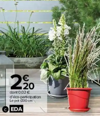 Carrefour Market Pot plastique marina offre