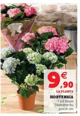 Super U Hortensia offre