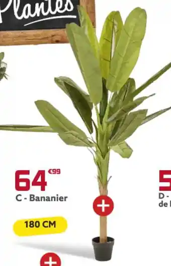 Gifi Bananier offre
