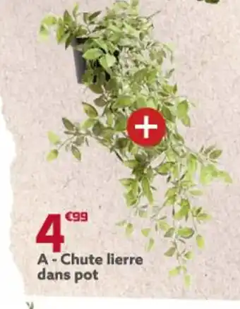 Chute Lierre Dans Pot