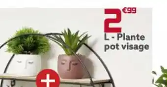Gifi Plante Pot Visage offre