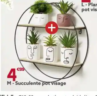 Gifi Succulente Pot Visage offre