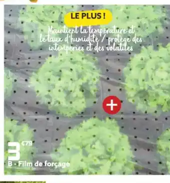 Gifi Film de Forcage offre