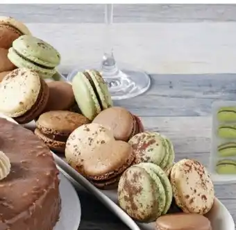 Super U 16 Succulents Macarons offre