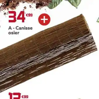 Canisse Osier