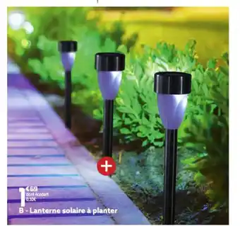 Gifi Lanterne Solaire à planter offre