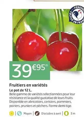 Fruitiers en variétés