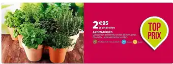 Delbard Aromatiques offre
