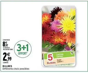 Intermarché Bulbes offre