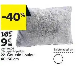 BUT Coussin loulou 40 x 60 cm offre