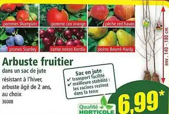 Norma Arbuste fruitier offre