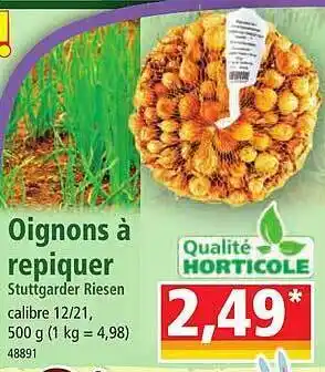 Norma Oignons à repiquer offre