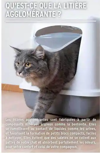 Intermarché La litière agglomérante offre