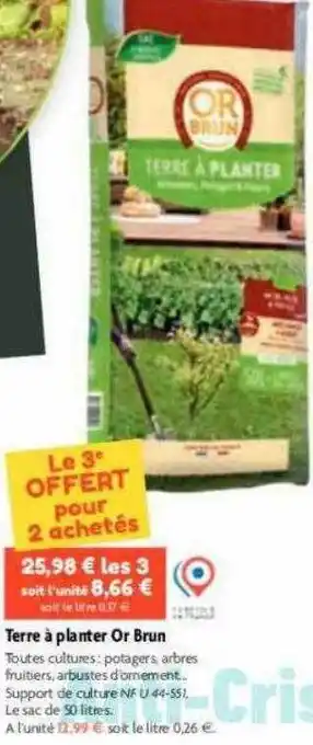 Point Vert Terre à planter or brun offre