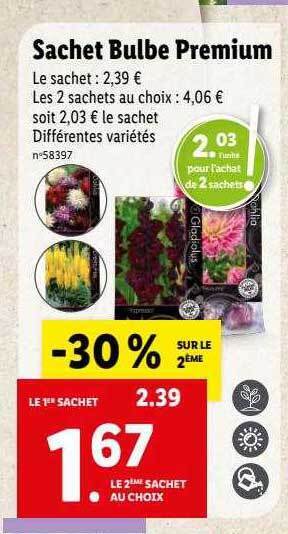 Lidl Sachet bulbe premium offre