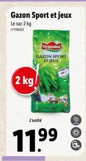 Lidl Gazon sport et jeux offre