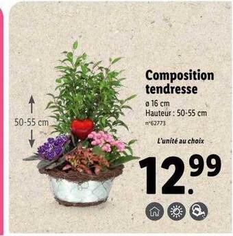 Lidl Composition tendresse offre