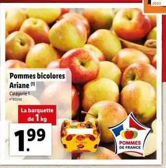 Lidl Pommes bicolores ariane offre