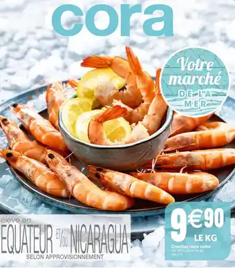 Cora x Carrefour Crevettes cuites offre